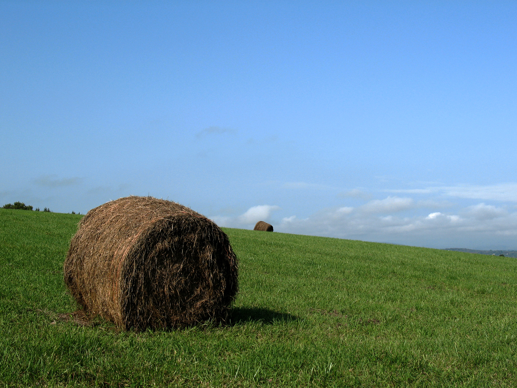 Hay Bale